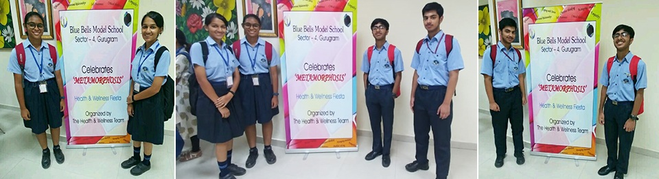 Nirvana Activity