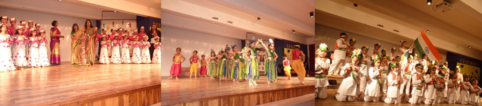 SHIS Activities