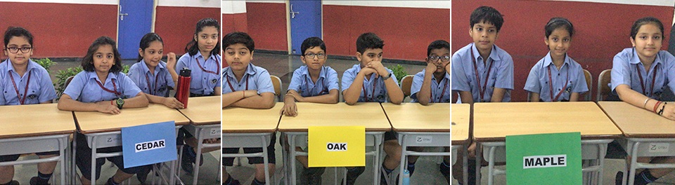 SHIS Activity