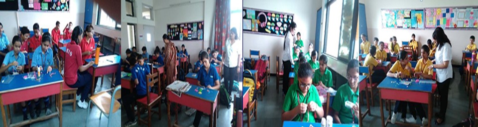 SHIS Activity